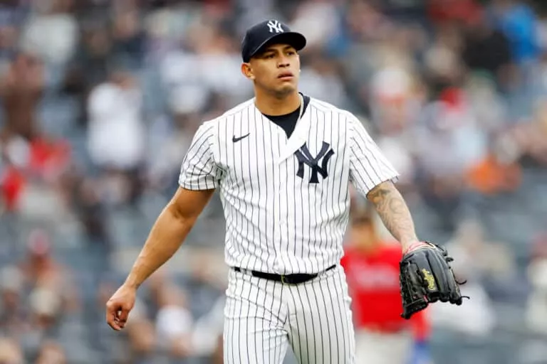 Breaking news: The Yankees activate favorite right-handed reliever off IL, designate Matzek for assignment